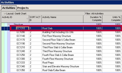 Handy Hints on Creating Great P6 Views and Reports - Primavera Tips